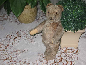 Antique 1949 Steiff Original Teddy Bear Jointed Gray Mohair 35 cm