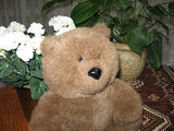 AMC NY Brown Plush Teddy Bear 12 inch Sitting 1985