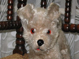 Antique 1950s Anker Germany Standing Mohair Terrier Dog 8" Glass Eyes Bakelite