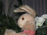 Antique Schuco Bigo Bello Bunny 1950s Mohair Rare