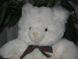 Continuity London UK White Plush Teddy Bear Nice & Soft