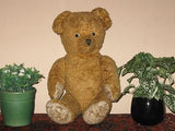 Antique 1930s Dutch Van Gelden Jointed Teddy Bear Light Brown Plush 21 Inch 54cm