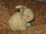 Old Antique 1930s Steiff Woolen Rabbit 3mm FF Button 2506,1