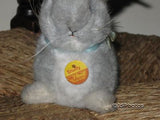 Steiff Original Snuffy 1974 2911/12 Grey 12 cm K/F/S
