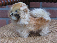 Steiff Pekingese Peky Mohair Dog 14 CM 1314,0 1953-58 No ID