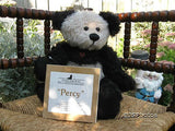 Ashton Drake Percy Panda Pals UK Bear By Pamela Wooley