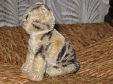 Steiff Antique FF Button Standing Tabby KF 1317,0 1936-43 w. Rare German Kitten