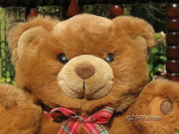 Kleeneze UK Monty Christmas Musical Bear Plays 3 Songs