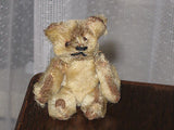 Antique Old Germany 1920s 1930s Schuco Piccolo Bear