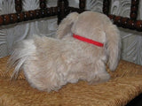 Steiff Junior Peky Pekingese 2890/22 1977-87 ALL IDS