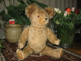 Antique Old Hermann Bear 16 Inch Blonde Mohair w Growler