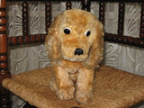 Antique Steiff Mohair Revue Susi Cocker Spaniel Dog 3328,03 Original Collar 11in
