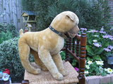 Antique 1940s Large German Beige Gold Mohair Boxer Dog Wood Filled Stands 17in.