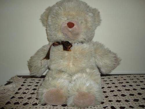 Unique Shaggy Teddy Bear w Eyes on Nose