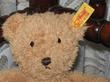 Steiff Moon Bear 236464 20CM Button & Tag 2005