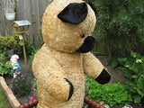 Antique 1930s Dutch 30 inch Van Gelden Growler Jointed Teddy Bear