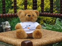 Small Brown Teddy Bear Plush Wearing ZETES Shirt JKS Holland