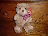 Gund 1993 My Name is Best Bear Retired Teddy Bear 2224