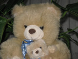 Dutch Holland 14 Inch Momma & Baby Bear Soft Plush