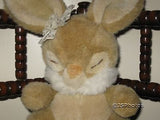 Dutch Sleeping Girl Bunny Rabbit