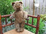 Antique 1950's Large Growler Teddy Bear Plush Fully Jointed Leather Paws 20 inch