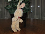 Antique Old German Bunny Rabbit Glass Eyes 1940's 1950's