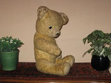 Old Antique 1930s Dutch Arthur Van Gelden Bear 50 CM 19.75 Inch