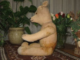 Antique Pre WW1 German Bing Bear 23 Inch Tilt Growler