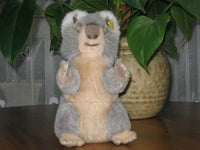 Steiff Molly Koala 0331/22 Button & Label