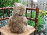 Antique 1950's Large Growler Teddy Bear Plush Fully Jointed Leather Paws 20 inch