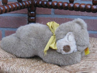 Steiff Schlafbaer Bedtime Bear Cinnamon 082511 1991 Button & Tag