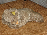 Steiff Floppy Zotty 17 CM 5500/17 1968-69 Mohair Button Tag