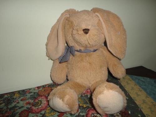 The Childrens Place BUNNY RABBIT Super Soft