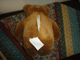 Childrens Educational Math TEACHER TEDDY BEAR Battery Operated