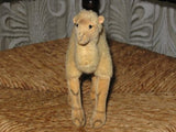 Old Antique Steiff Woolen Dromedary Camel 1953-1958 14cm No ID