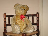 Old Antique 1930s Dutch Arthur Van Gelden Bear 64 cm 25 Inch