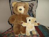 Brown Bear and Little Baby Brother Lot of 2 Stuffed Teddies
