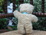 Steiff Molly Teddy Bear 0322/22 Creme