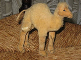 Old Antique Steiff Woolen Dromedary Camel 1953-1958 14cm No ID