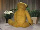 Antique Old 1920s Germany Large 27.5 inch Humpback Bear 70cm