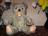 Old Antique Hermann Mohair Zotty Bear w Squeaker