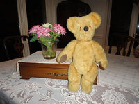 Antique Golden Plush Jointed Koala Bear USA 16 inch 1960s CUTE !!