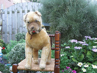 Antique 1940s Large German Beige Gold Mohair Boxer Dog Wood Filled Stands 17in.