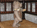 Antique Steiff 1950s Original Teddy Mohair Bear 28cm 5328,2c Armando