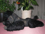 Antique German Black Mohair Poodle Dog 11 Inch Standing 1920s RARE
