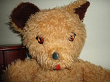 Antique Tongue Bear Beige Brown Plush Best Made Toys Canada 20 inch 1960s
