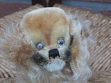 Steiff Pekingese Peky Mohair Dog 14 CM 1314,0 1953-58 No ID