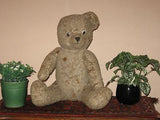 Old Antique 1930s Dutch Arthur Van Gelden Bear Gray 58 cm 22 Inch