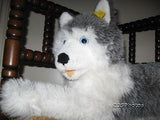 Steiff Molly Husky Dog 45 cm 104916 Button & Tag 1991