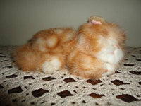 Russ Peaches Striped Orange Sleeping Tabby Cat Retired